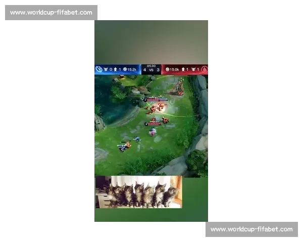 三国杀Online职业杯，选手们为了梦想付出了多少汗水